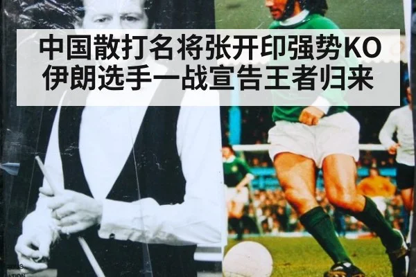 中国散打名将张开印强势KO伊朗选手一战宣告王者归来